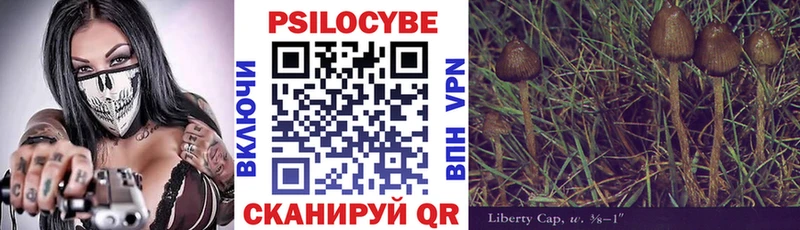 Галлюциногенные грибы Psilocybe  Белоозёрский 